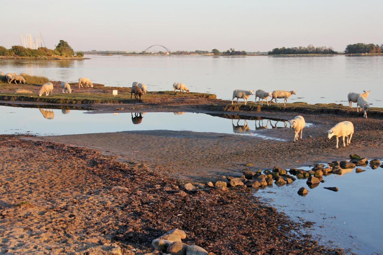Fischerhaus Lemkenhafen Lemkenhafen auf Fehmarn